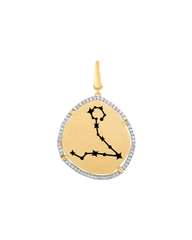 Pisces Charm