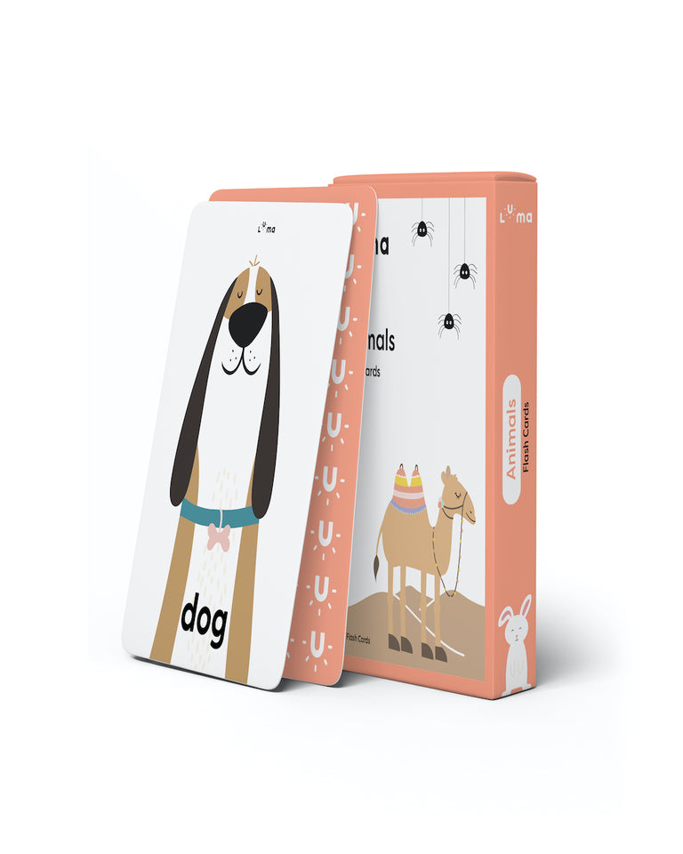 Animals Flash Cards: English