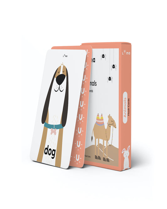 Animals Flash Cards: English