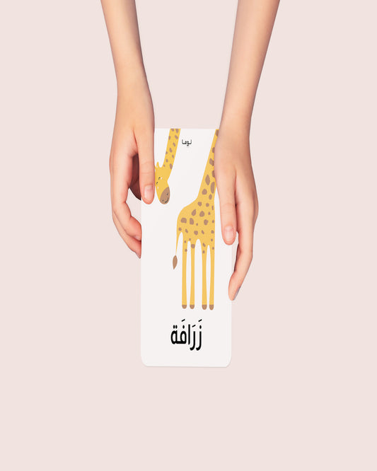 Animal Flash Cards: Arabic