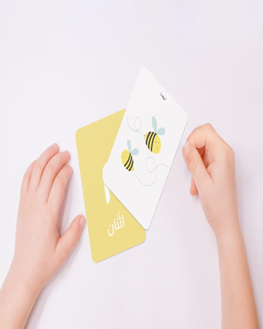Numbers Flash Cards: Arabic